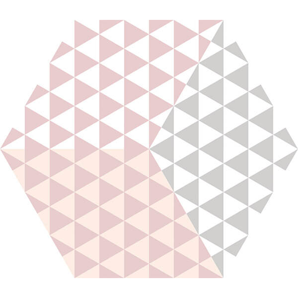 Керамогранит 23x27 матовый rosa Peonia KEROS M138