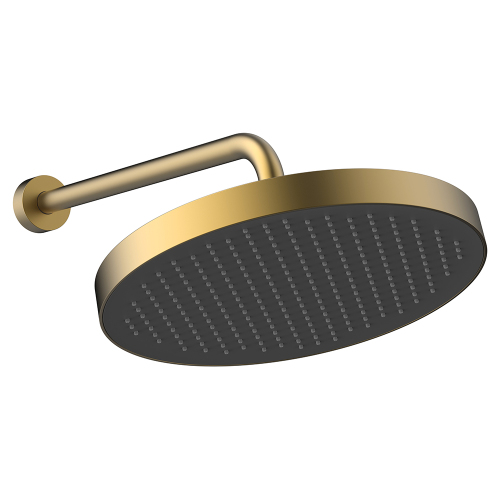 Верхний душ с кронштейном AVS Basic брашированное золото