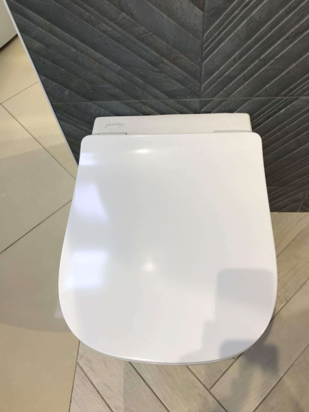 Крышка-сиденье Jacob Delafon Struktura E70025-00 с микролифтом