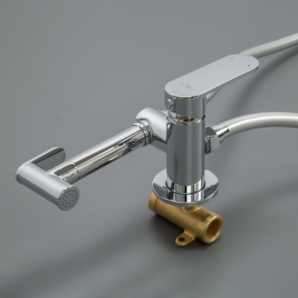 Гигиенический душ со смесителем AVS Beauty хром